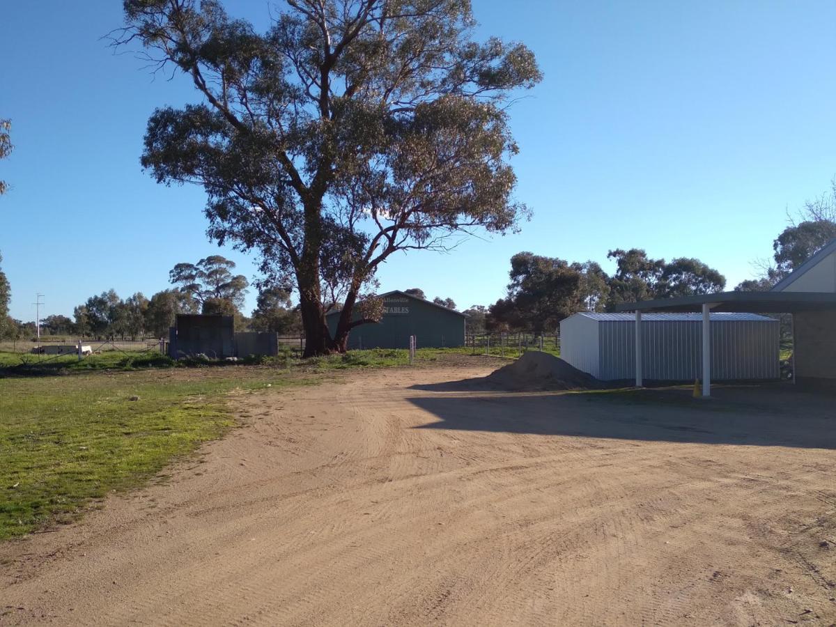 Allonville Gardens Motel Wagga Wagga Exterior photo