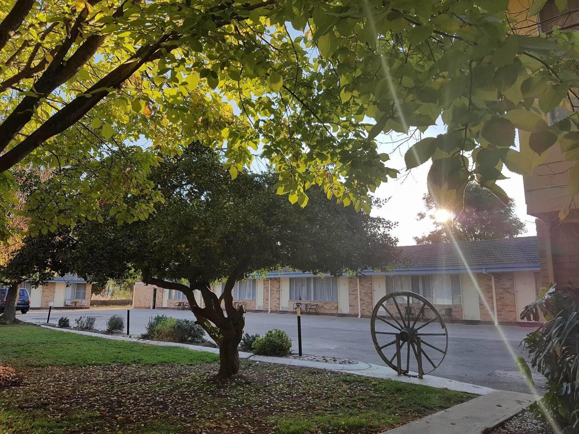 Allonville Gardens Motel Wagga Wagga Exterior photo